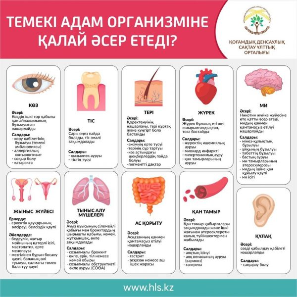 Темекі адам организміне қалай әсер етеді?